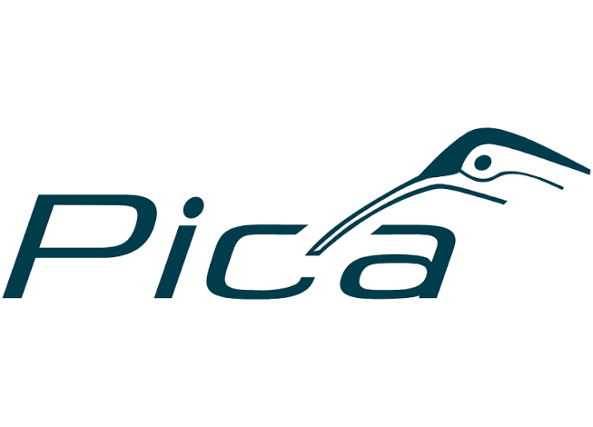 Pica
