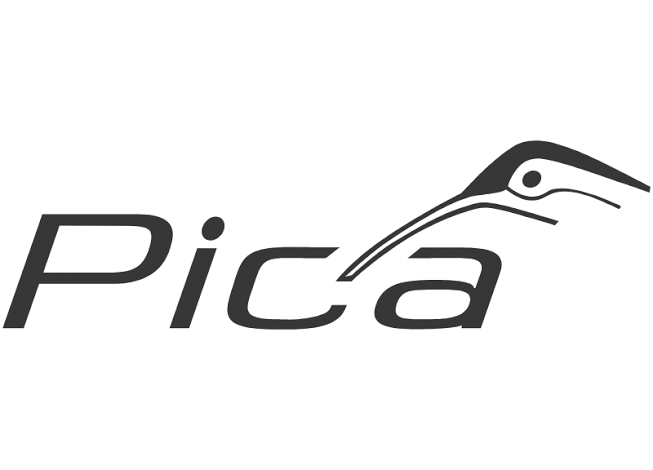 Pica